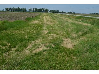 Property photo 100 - 4 Trupointe Agronomy Locations + Assorted Chemical & Fertilizer Tanks